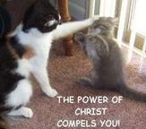 Avatar of sharethelove01