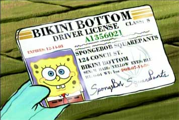 license
