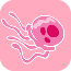 Jellycatcher.png